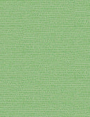 DS Cats In The Laundry - Moonscape - 1150-KIWI - Cotton Fabric