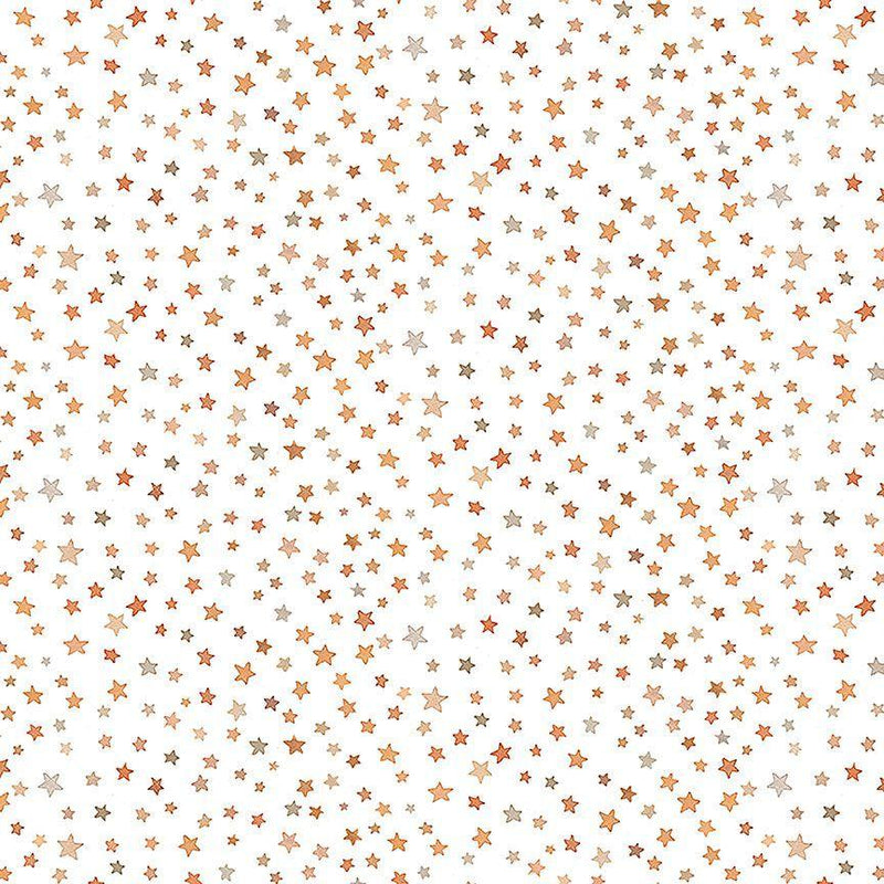 DS Count On Me Starry Night - DNS3320-WHITE - Cotton Fabric