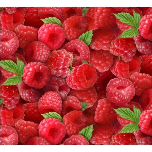 NCI Berry Good - 154-RASPBERRY - Cotton Fabric