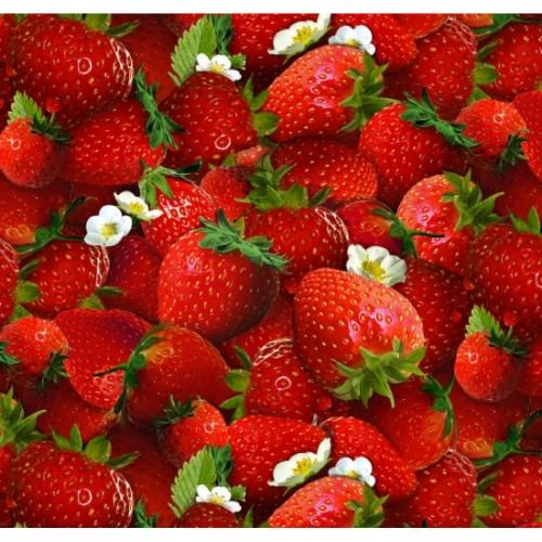 NCI Berry Good - 155-RED - Cotton Fabric