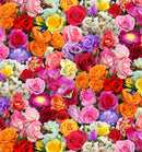 EZS Burst Of Color Flowers - 663-MULTI - Cotton Fabric