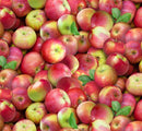 EZS Food Festival Apples - 641-MULTI - Cotton Fabric
