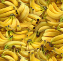 NCI Food Festival Bananas - 461-YELLOW - Cotton Fabric
