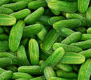 EZS Food Festival Cucumbers - 437-GREEN - Cotton Fabric