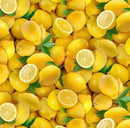 NCI Food Festival Lemons - 483-YELLOW - Cotton Fabric