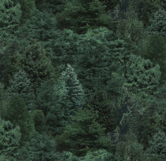 EZS Landscape Medley - 176-PINE - Cotton Fabric