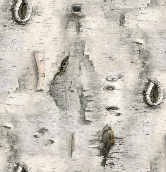 EZS Landscape Medley - 4324-GRAY - Cotton Fabric