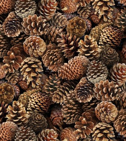 EZS Landscape Medley - 454-BROWN - Cotton Fabric