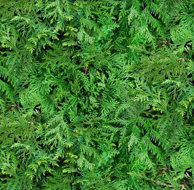 EZS Landscape Medley - 607-GREEN - Cotton Fabric