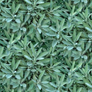 EZS Landscape Medley Greens 680-SAGE - Cotton Fabric