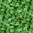 EZS Landscape Medley Greens 681-GREEN - Cotton Fabric