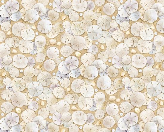 EZS Landscape Medley Sand Dollars - 619-SAND - Cotton Fabric