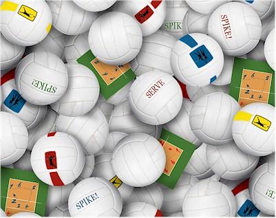 NCI Sports Collection - 216-White - Cotton Fabric