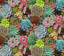 EZS Succulent Charm 598-MULTI - Cotton Fabric