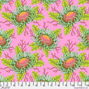 FS Floral Reef Friends & Anemones - PWTP265.CORALLINE - Cotton Fabric