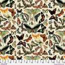 FS Palette Canvas Cloth Teal Butterflies Canvas - CCTH027.TEAL - Cotton Fabric
