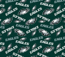 FT NFL Philadelphia Eagles Cotton Fleece - 70533-D  - Cotton Fleece Fabric