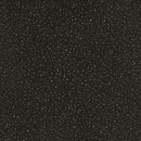 HFF Blooming Holidays - X7793-213S Onyx/Silver - Cotton Metallic Fabric