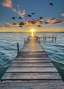 HFF Call Of The Wild Dock - W5421-151 Sunset - Cotton Fabric