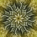 HFF Dream Big Leaf - R4617-291 Olivia - Cotton Fabric