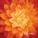 HFF Dream Big Panel - A Hoffman Spectrum Print - P4389-310 Fire - Cotton Fabric