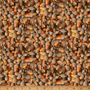HFF Homestead Acorns - W5518-2 Acorn - Cotton Fabric