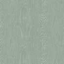 HFF Twenty-Four-Seven-Grain - V5183-436 Eucalyptus - Cotton Fabric