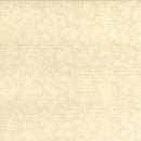 Hoffman Brilliant Blender- G8555-20G - Cotton Fabric