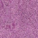 Island Batik Blenders Bubbles - BE31-B1 Raspberry - Cotton Batik Fabric