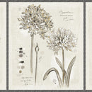 LUM Botanical Sketchbook Panel - 115-014-020 Multi - Cotton Fabric