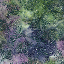 LUM Wine Country Stipples and Squiggles - 612606850 Multi Purple Green Flourite - Cotton Batik Fabri