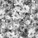 MAY Moonlit Walk - 11010-JW - Cotton Fabric