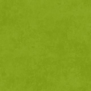 MAY Shadow Play - 513-GGS Asparagus - Cotton Fabric