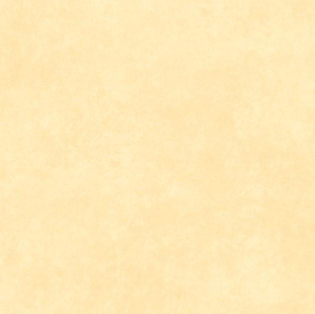 MAY Shadow Play - 513-WT Sweet Butter - Cotton Fabric