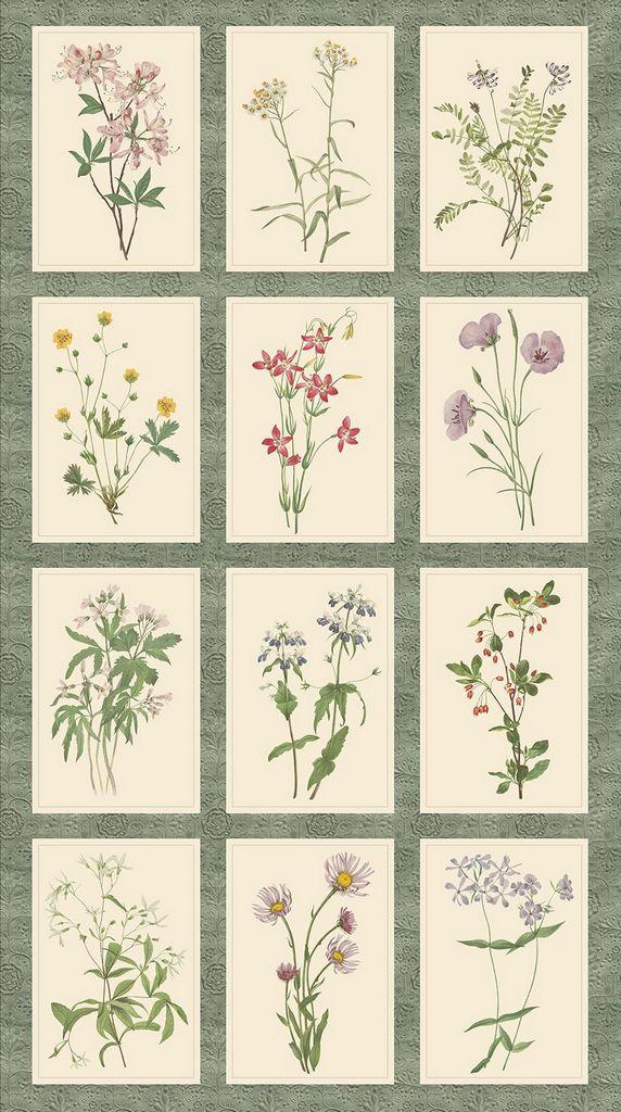 MB Botanical Journal 24" Botanical Prints Panel - R650862P-MULTI - Cotton Fabric