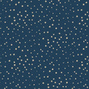 MB Liberty Island Stars - R261661D-NAVY - Cotton Fabric