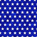 MM America The Beautiful - DC11722-NAVY - Cotton Fabric