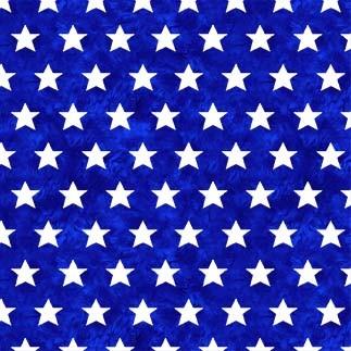 MM America The Beautiful - DC11722-NAVY - Cotton Fabric