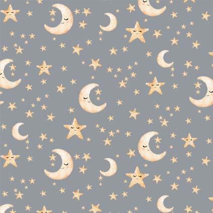 MM Animal Babies Stellar Stars - DC11629-GRAY Gray - Cotton Fabric
