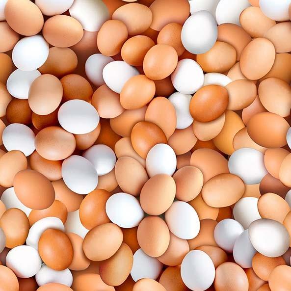 MM Early To Rise Eggstraordinary - DCX12078-EGGS-D - Cotton Fabric