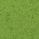 MM Fairy Frost Pearlized Metallic- CM0376-CELE-D Celedon - Cotton Fabric