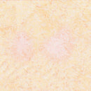 MM Fairy Frost Pearlized Metallic - CM0376-CRMS-D Creamsicle - Cotton Fabric