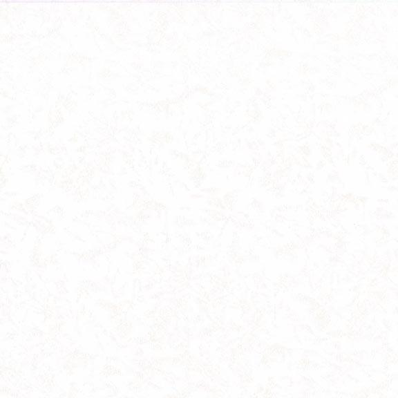 MM Fairy Frost Pearlized Metallic - CM0376-SNOW-D - Cotton Fabric