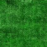 MM Fresco - DCX10060-EMERALD - Cotton Fabric