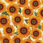 MM Garden Variety Sunflower Meadow - CX11532-CREM Cream - Cotton Fabric