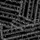 MM Music Melody - CX10473-BLAC-D Black - Cotton Fabric