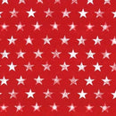 MM Route 66 Rugged Stars - DCX12524-REDX - Cotton Fabric