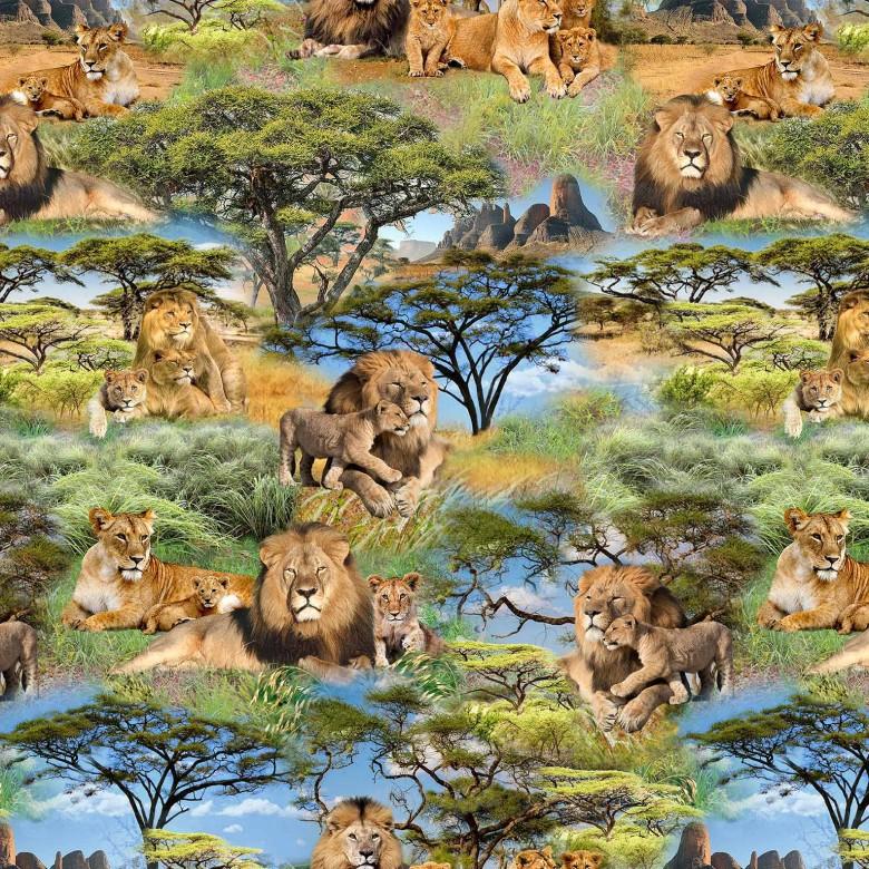 MM Serengeti Plains African Pride - DCX11961-UMBE-D - Cotton Fabric