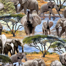 MM Serengeti Plains Trunk Show - DCX11948-DAWN-D - Cotton Fabric