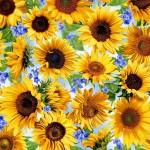 MM Summer Sunflowers Sunflower Meadow - DCX11677-SUNN Sunny - Cotton Fabric